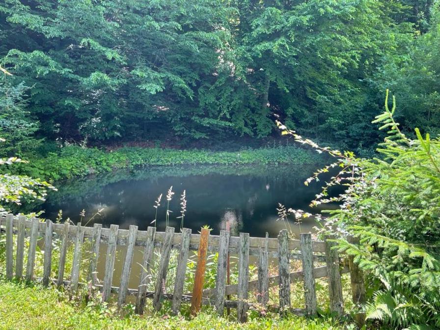 Вилла Fontana Erdelyi Vendeghaz Одорхею-Секуйеск Экстерьер фото